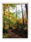 Preview: Rollo Verschlungene Wege, Rollo, Motivrollo, Rollo mit Druck, Fotorollo, bedrucktes Rollo, Fensterrollo,verdunkelndes Rollo, Sonnenschutz Rollo